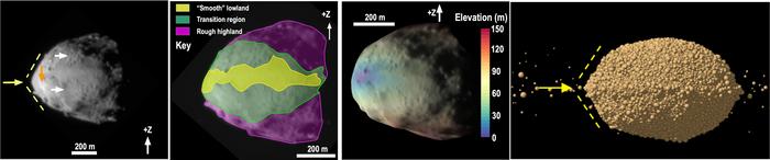 The geological features observed on Didymos provided key insights into its origins. The asteroid's triangular ridge (shown in the first panel from the left), along with the smooth region and the older, rougher "highland" region (depicted in the second panel from the left), can be explained by slope processes influenced by elevation (illustrated in the third panel from the left). The fourth panel demonstrates the impact of spin-up disruption, which likely played a role in the formation of Dimorphos.