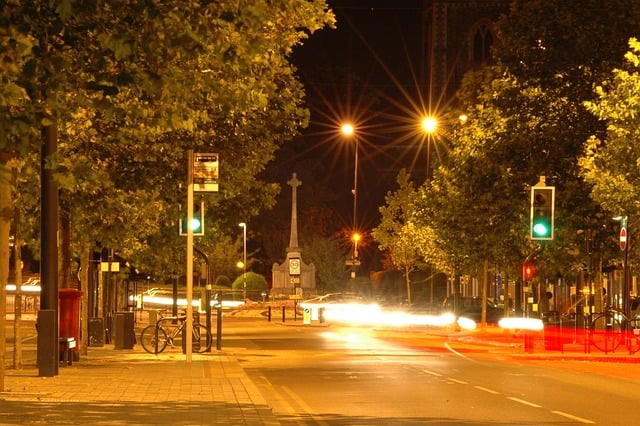 Streetlights running all night makes leaves so tough that insects can’t eat them