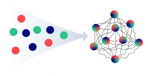 Neutrinos of different “flavor” quantum states (shown by colors) are entangled through interactions. In dense neutrino environments like core-collapse supernovae, this leads neutrinos of different flavors to equilibrate to similar energy distributions.