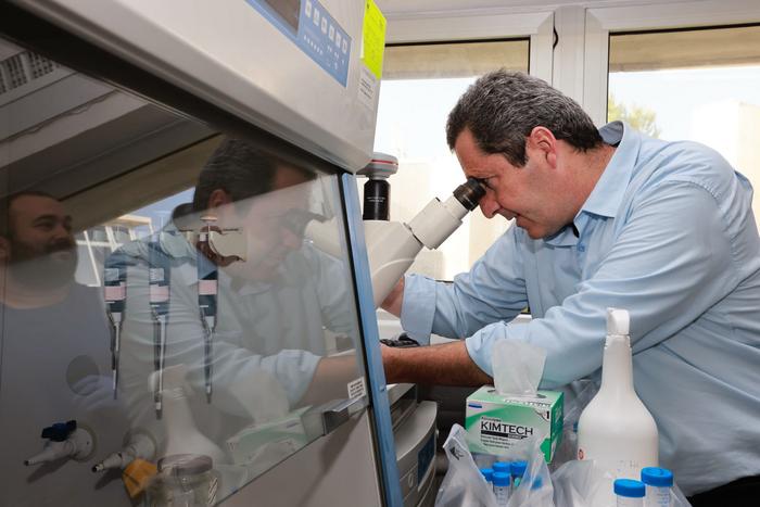 Prof. Koby Nahmias working in his lab.