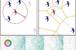 Distance Vs Topological relations + traveling bands