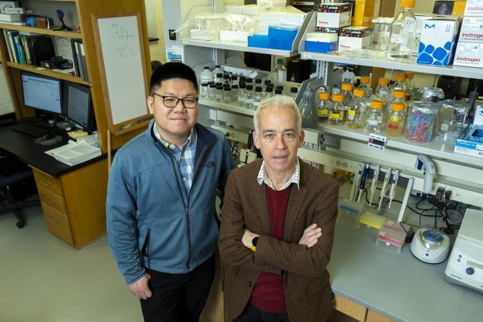 The first author Thu Vu Phuc Nguyen, left, and Ido Golding investigated how coinfecting phages can impede each other’s entry into a cell.