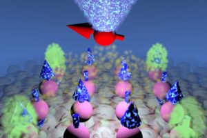 Engineering atom interactions inside an artificial quantum material resulted in a new quantum state: the higher-order topological magnet.