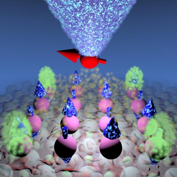 Engineering atom interactions inside an artificial quantum material resulted in a new quantum state: the higher-order topological magnet.