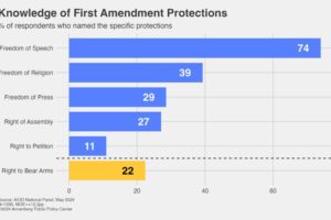 Infogrpahic on Americans' understanding of rights