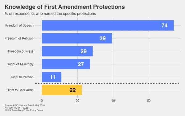 Infogrpahic on Americans' understanding of rights