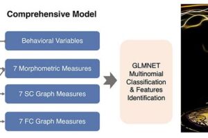 Illustration of the steps of the model construction for early diagnosis of bipolar disorder in adolescents (Left) and the conceptual graphs to show the importance of the advanced brain imaging techniques for bipolar disorder (right).