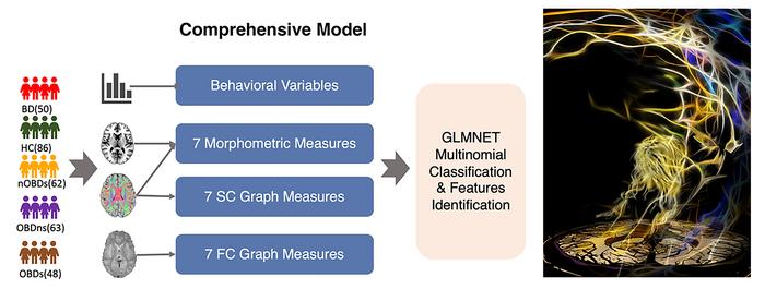 Illustration of the steps of the model construction for early diagnosis of bipolar disorder in adolescents (Left) and the conceptual graphs to show the importance of the advanced brain imaging techniques for bipolar disorder (right).