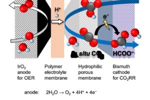 The team’s new cell features a polymer electrolyte membrane and a porous layer, where carbon dioxide is generated in-situ and reacts at the cathode to form formate ions.