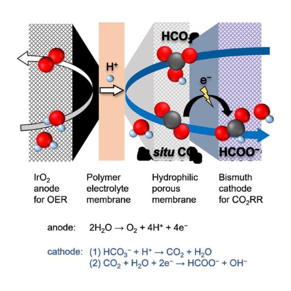 The team’s new cell features a polymer electrolyte membrane and a porous layer, where carbon dioxide is generated in-situ and reacts at the cathode to form formate ions.