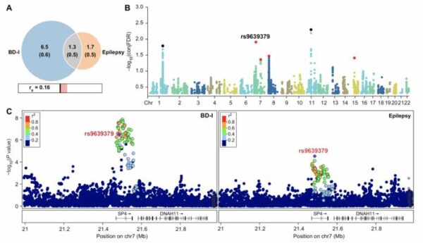 Genetic link between bipolar disorder and epilepsy unveiled in China study