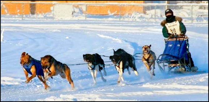 Heather Huson racing in an Alaska Dog Mushers Association Challenge Series race in 2005 at the Jeff Studdard Sled Dog Race Track in Fairbanks, Alaska.