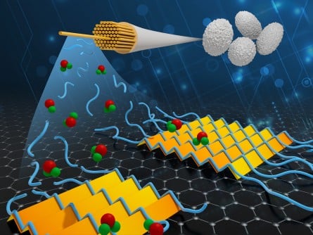 Individual silk protein molecules, or “silk fibroins” (blue), are deposited on a graphene surface surrounded by water (green and red spheres) and grow into an atomically precise two-dimensional (2D) sheet. Controlled deposition of silk fibers could lead to numerous biodegradable electronic devices.