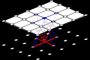 A model developed by evolutionary mathematicians in Canada and Europe reveals that as cooperation becomes easier, it can unexpectedly break down. Researchers from the University of British Columbia and the Hungarian Research Network used computational spatial models to arrange individuals from two species on separate, facing lattices.