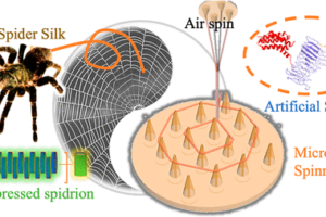 Infographic on spinning spider silk with air