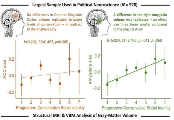 Brain Structure Linked to Political Views, but Connection Weaker Than Previously Thought