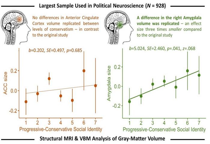 This is the graphical abstract for the iScience paper "Is political ideology correlated with brain structure? A preregistered replication."