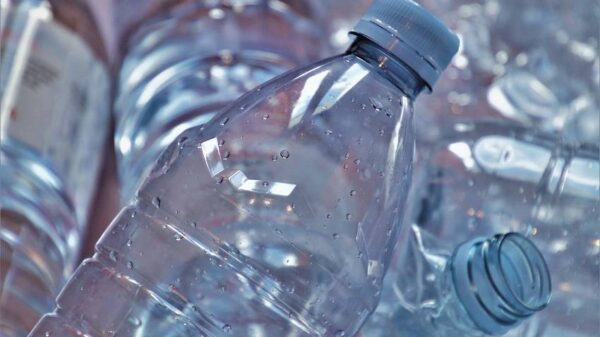 plastic bottles