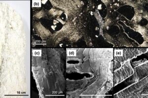 a) Photograph of HV precipitates collected from the Shinkai Seep Field. b) Cross-polarized optical microscope images of precipitates in cross section. c,d) Scanning electron images showing layers within the precipitates. f) Magnification showing sublayers in the boxed area of d.