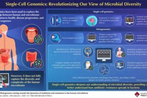 Researchers have now developed a new single-cell genome technique to understand how bacteria interact and exchange genetic material, including antibiotic resistance genes at the individual cell level.