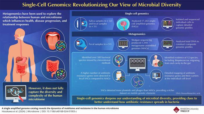 Researchers have now developed a new single-cell genome technique to understand how bacteria interact and exchange genetic material, including antibiotic resistance genes at the individual cell level.