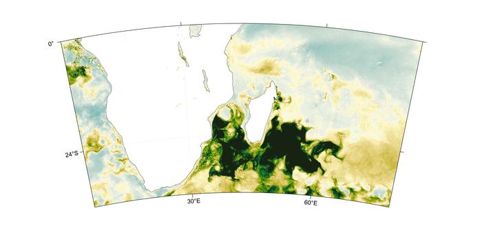 Monthly relative anomalies demonstrate the spatial development of chlorophyll-a concentration, a proxy for phytoplankton biomass, during December 2019. Relative anomalies are expressed as the percentage above the monthly climatological mean, relative to the period January 1998–December 2020.