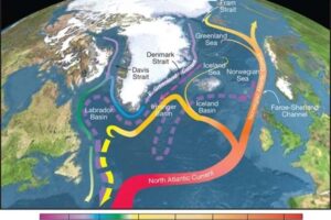 Map depicting the direction that the AMOC carries warm water, from the tropics to higher latitudes.