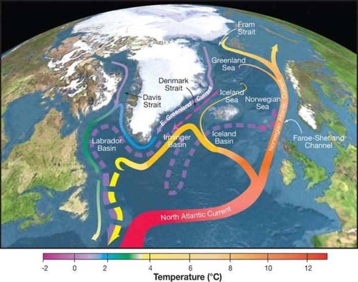 Map depicting the direction that the AMOC carries warm water, from the tropics to higher latitudes.