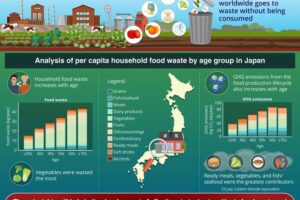 Researchers investigated how household food waste relates to various demographic and economic factors, revealing the intricate role of age.