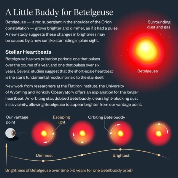 Infographic describing how the Betelbuddy affects Betelgeuse's apparent brightness.