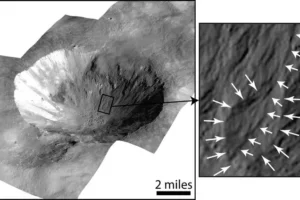 This image of the Cornelia Crater on Vesta shows lobate deposits (right) and curvilinear gullies (highlighted by the short white arrows, left). According to a newly published paper in The Planetary Science Journal, ice underneath the surface of an airless world could be excavated and melted by an impact, such as from a meteoroid impact, and then flow along the walls of the impact crater as liquid brines to form these distinct surface features.