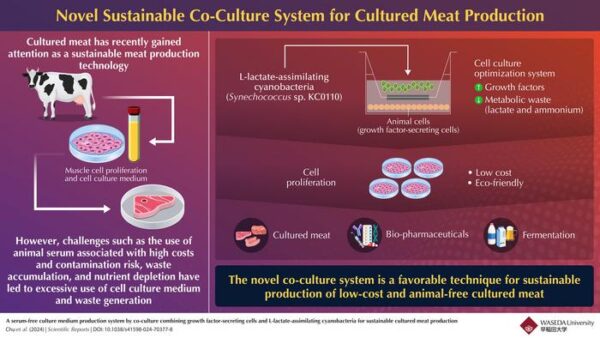 Scientists Develop Breakthrough System for Growing Lab-Grown Meat Without Animal Products