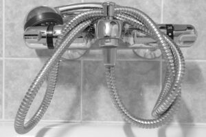 Shower head and hose