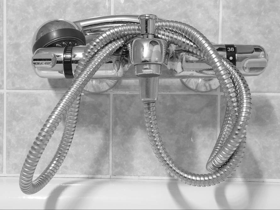 Shower head and hose