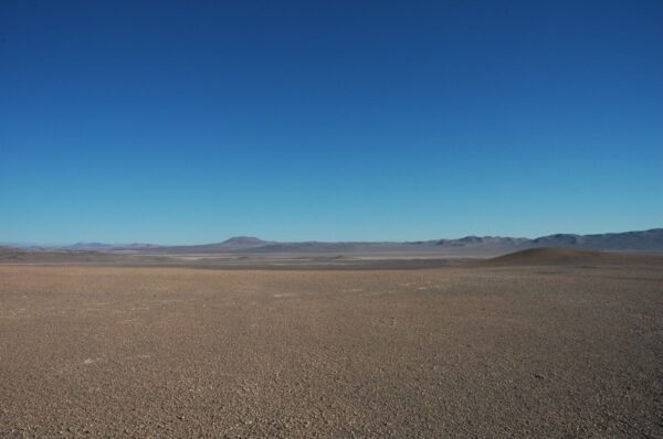 Scientists Find Living Microbes Thriving in World's Driest Desert ...