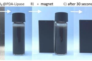 Summary of purification process: water polluted by microplastics (PET); addition of magnetic nanoparticles functionalized with polydopamine and lipase; removal of nanoparticles with microplastics using a magnet