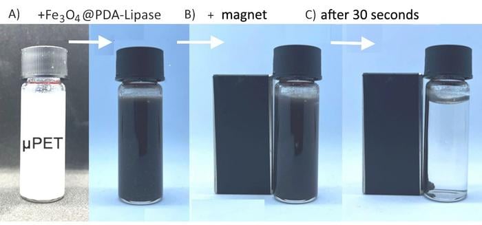 Summary of purification process: water polluted by microplastics (PET); addition of magnetic nanoparticles functionalized with polydopamine and lipase; removal of nanoparticles with microplastics using a magnet