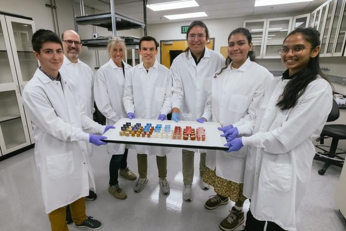 Is it possible to close the texture gap between plant-based meat and animal meat? Ellen Kuhl and her lab are trying. From left: Skyler St. Pierre, Marc Levenston, Ellen Kuhl, Reese Dunne, Ethan Darwin, Valerie Perez Medina, and Divya Adil pose with the meat and plant-based meat they analyzed.