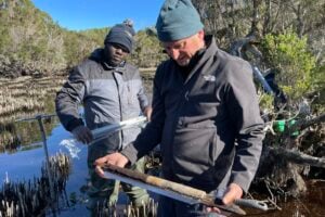 Matthew Adeleye (L) and David Bowman (R) in Emerald swamp, Three Hummock Island.