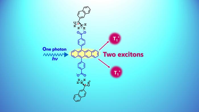 Researchers provide a valuable guide for molecular design in singlet fission research.