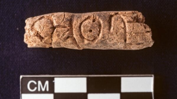 Archaeological findings suggest alphabetic writing may be some 500 years older than other ...                    </div>

                    <div class=