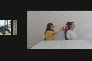 A chimpanzee watching a video of an agent (left) brushing the hair of a patient (right). Red circles indicate her gaze fixations, and red lines indicate attentional switching between agent and patient.