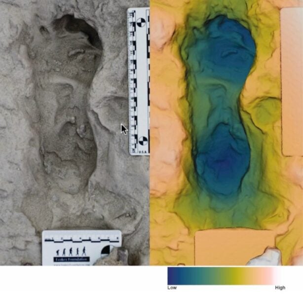 Overhead image (left) and height map (right) of 3D model of track H3. Scale bars are 15 cm and 8 cm. Height map spans 8 cm from deepest blue to white.