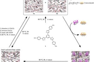 Scientists at Hiroshima University developed new porous crystals that have no pores. But access to guests activates the latent pores, which encapsulate guests inside the activated pores.