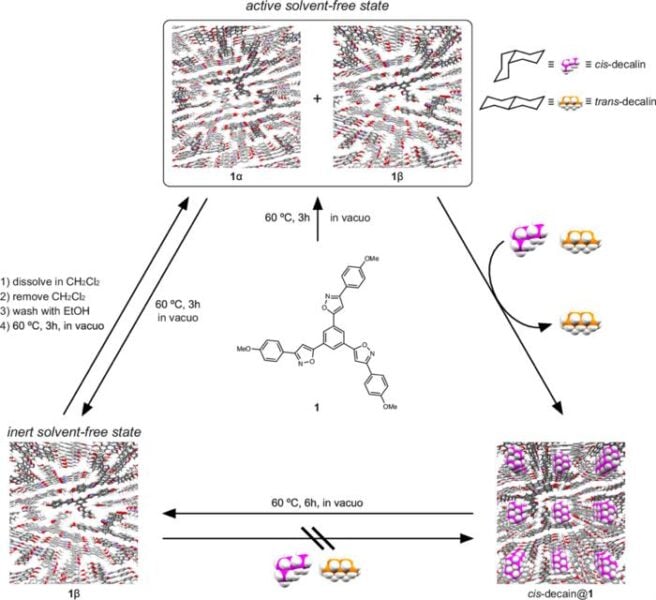 Scientists at Hiroshima University developed new porous crystals that have no pores. But access to guests activates the latent pores, which encapsulate guests inside the activated pores.