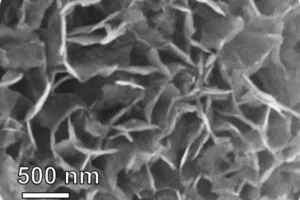 These nanoflakes show promise in detecting lung cancer by sensing a change in breath chemistry.