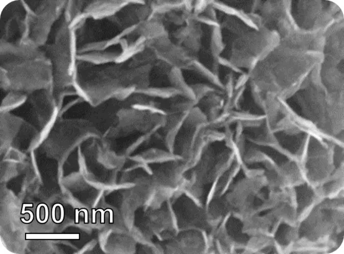 These nanoflakes show promise in detecting lung cancer by sensing a change in breath chemistry.