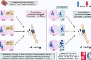 In 2513 children followed up from age 11 to 24 years, increased sedentary time from childhood through young adulthood significantly increased systolic blood pressure. However, a simulation replacing 10 minutes every hour of sedentary time in childhood, adolescence, and young adulthood with 10 minutes of light physical activity resulted in a cumulative reduction of systolic blood pressure by -3 mmHg. Image: Andrew Agbaje.