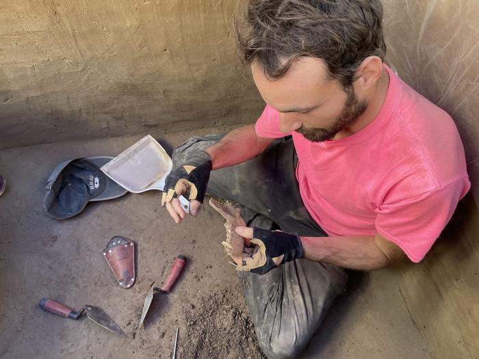 François Lanoë, an assistant research professor at the University of Arizona's School of Anthropology, helped uncover an 8,100-year-old canine jawbone in interior Alaska in June 2023. Alongside a 12,000-year-old leg bone found nearby, these discoveries provide some of the earliest evidence of close relationships between ancient dogs, wolves, and humans in the Americas.