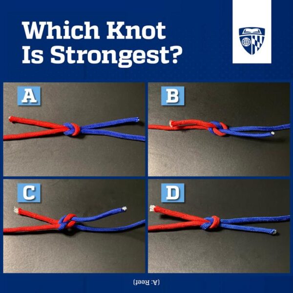 The researchers showed participants four knots that are physically similar but have a hierarchy of strength. People were asked to look at the knots, two at a time, and point to the strongest one. The strongest is A, the reef knot.